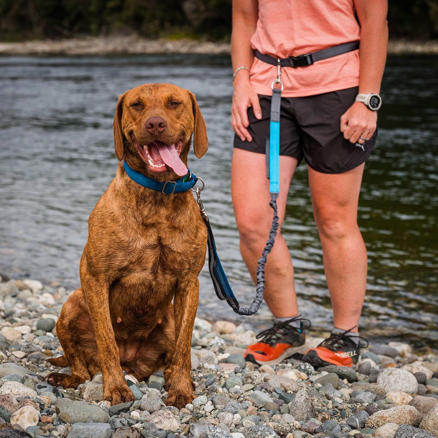 WITH YOUR DOG