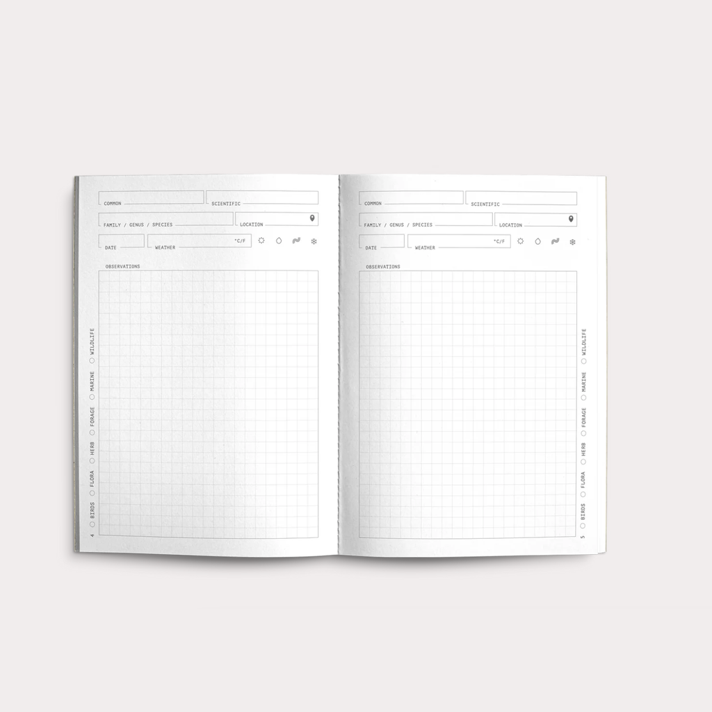 Creator's Friend Notebook - Observers Friend image 2