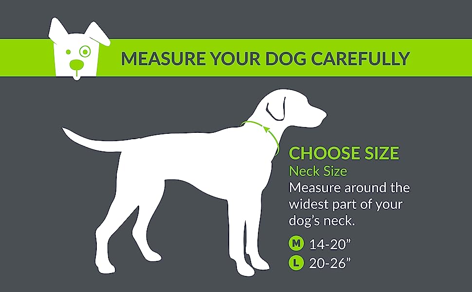 Tuff Mutt Dog Collar image 2