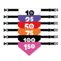 Barkrun Dog Milestone Bib or Bandana Set image 