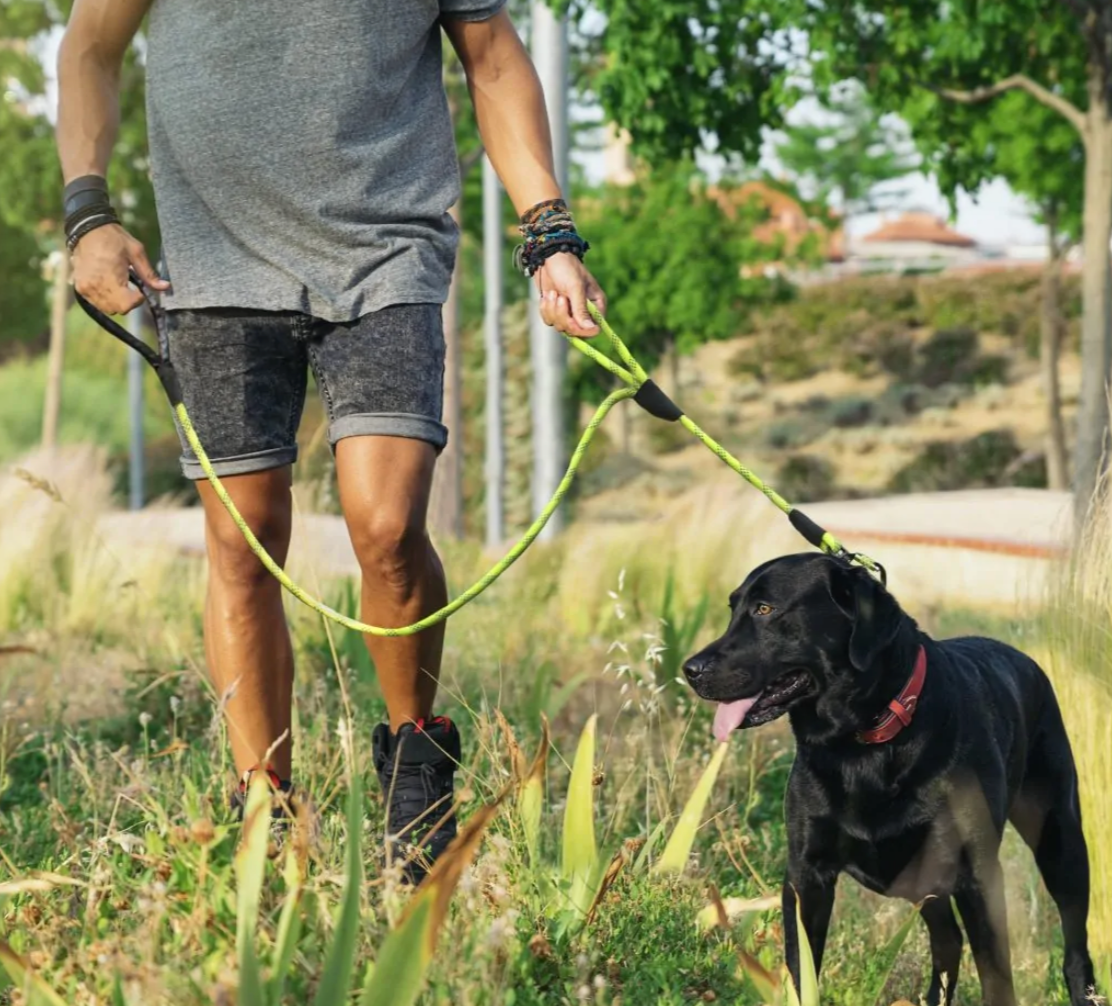 Tuff Mutt Dual Handle Rope Lead image 2